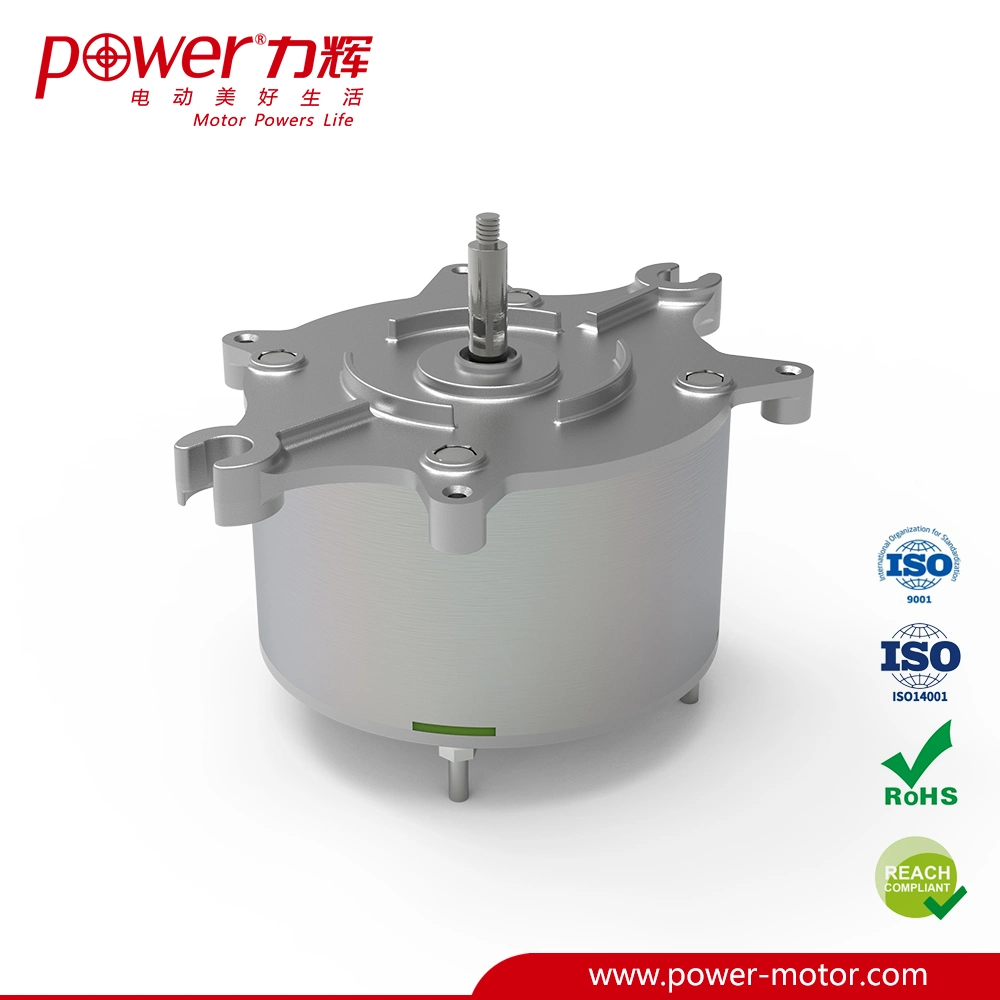 Non-Standard Smart Toilet Pump Motor 24V DC Motor