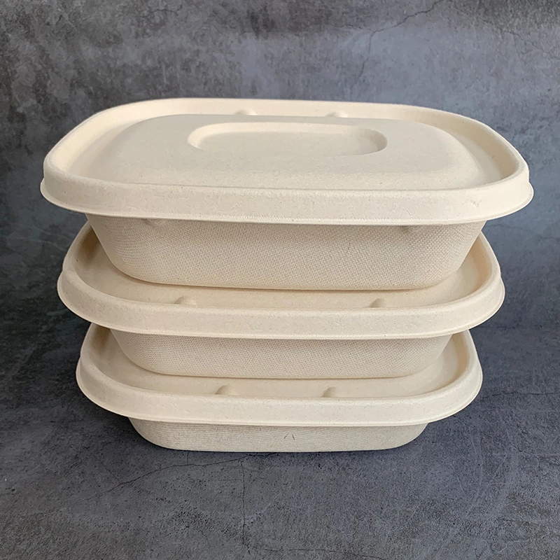 Professional Supplier Wholesale/Supplier Disposable Biodegradable Pulp Fiber Sugarcane Tableware