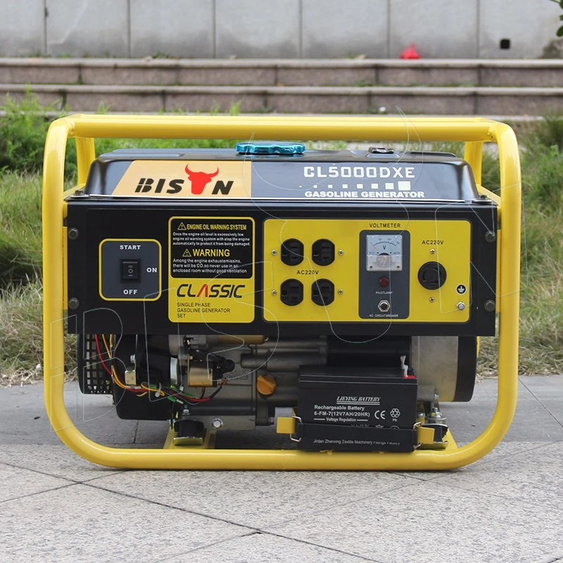 Bison Sale Factory Price Small Portable Mini Gas Generator