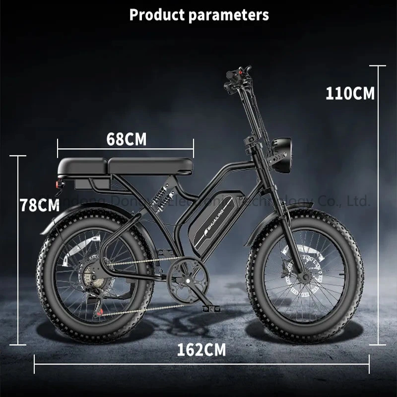 750W Strong off Road Bicycle 20 Inch Fat Tire Electric Bicycle Urban Mountain Electric Bicycle Adult Edition