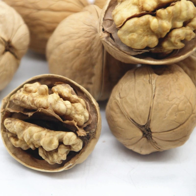 Barato preço Capa Fina Natural Melhores Kernels de nozes secas