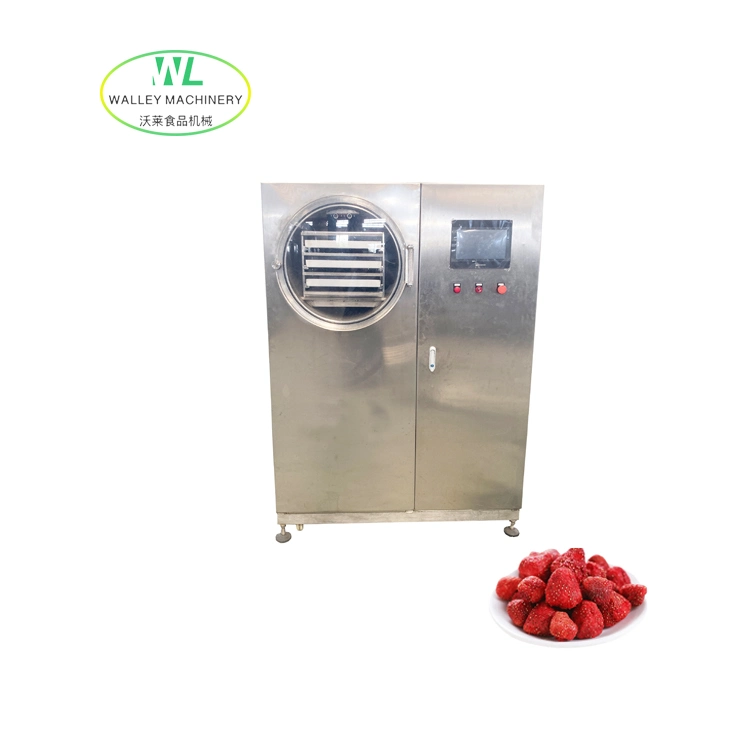 Factory Price Lyophilizer Lab Vacuum Freeze Dryer