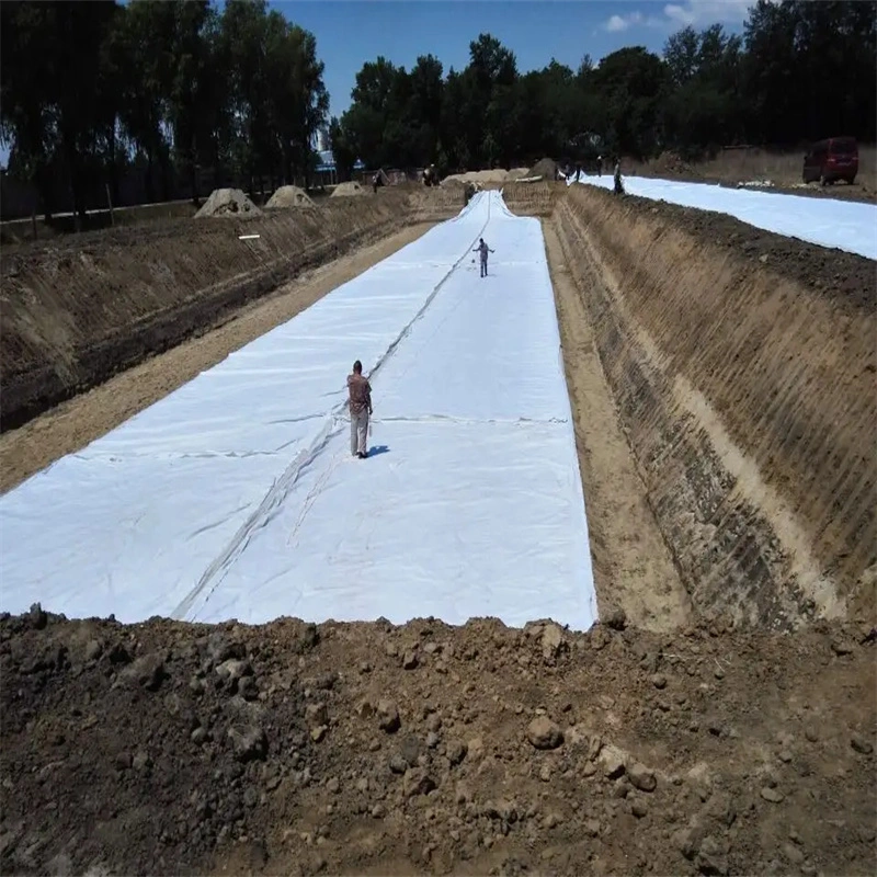 Reinforced Waterproof Geotextile Liner Composite Compound Geomembrane with Nonwoven Geotextile