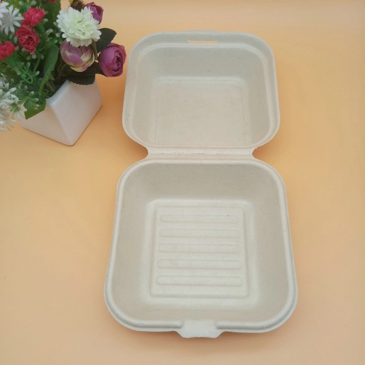 Food Grade Compostable Lunch Box Sugarcane Bagasse Disposable Bio Degradable Container