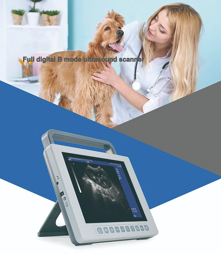 Veterinarian Black and White Super B Scan Ophthalmic Digital Ultrasound Low Price Medicalhigh Intensity Focused Equipment