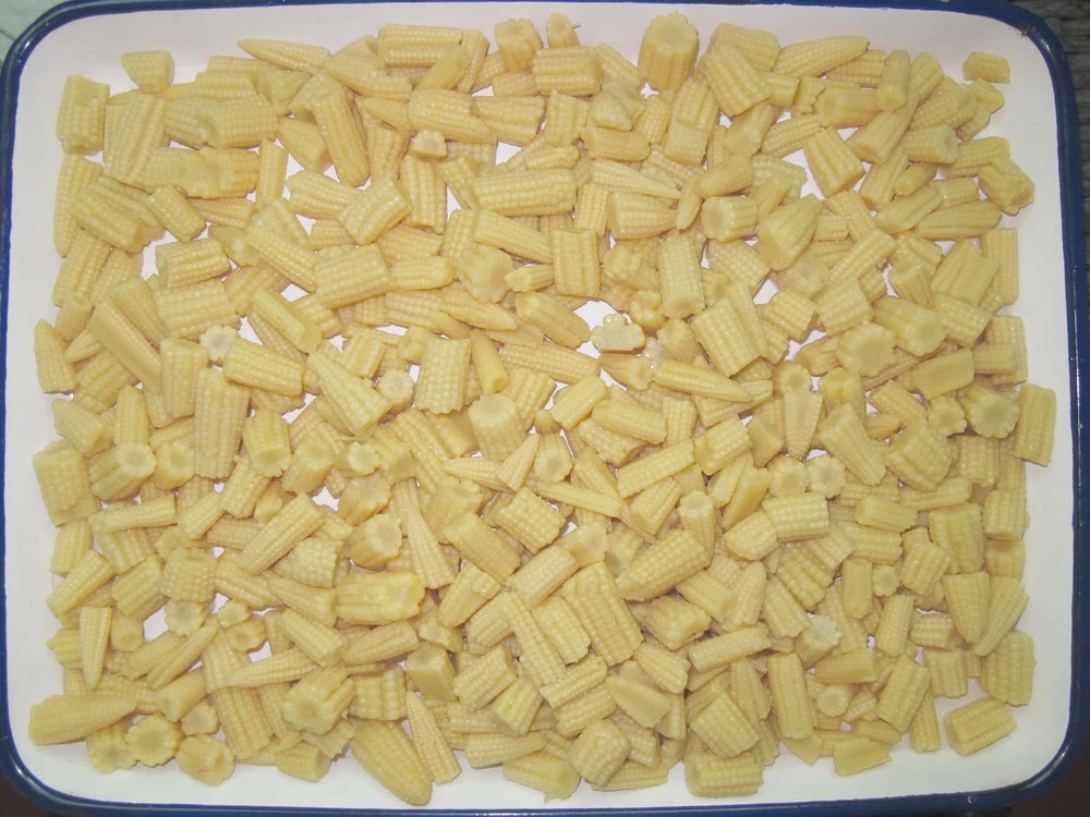 425g Canned Baby Corn Cut by Cheap Price