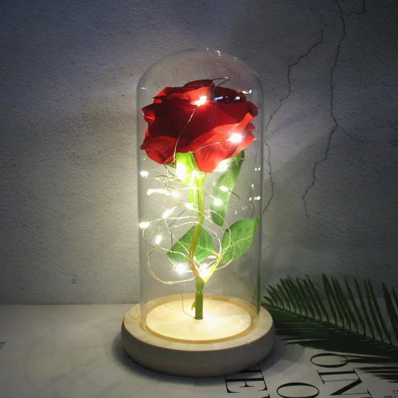 Rose Flower Gift in Glass Dome LED Light Roses for Christmas