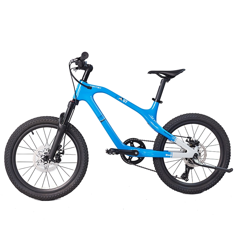China Factory Cheap Price Wholesale 20 Inch Mountain Bike for Adult Road 7 Speed Alloy Frame Electric Bicycle MTB Disc Brake Solid Tire Pneumatic Tyre Kids