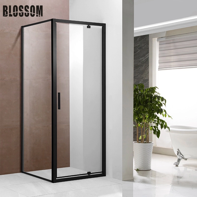 Rectangle Glass Simple Shower Room with Black Frame Hardware