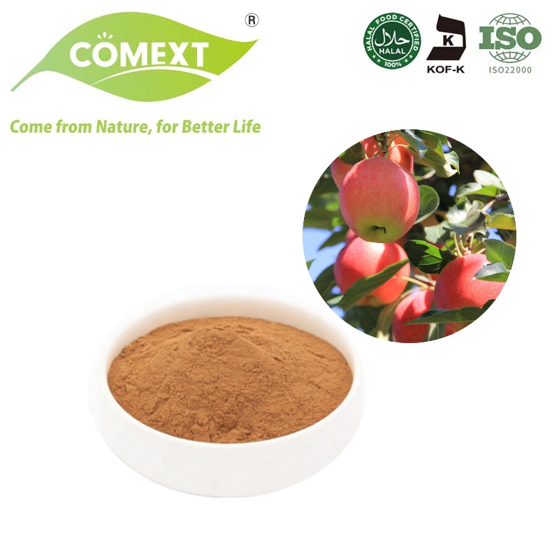 Comext Comext pass Organic Apple cider Intract Powder Apple cider مسحوق