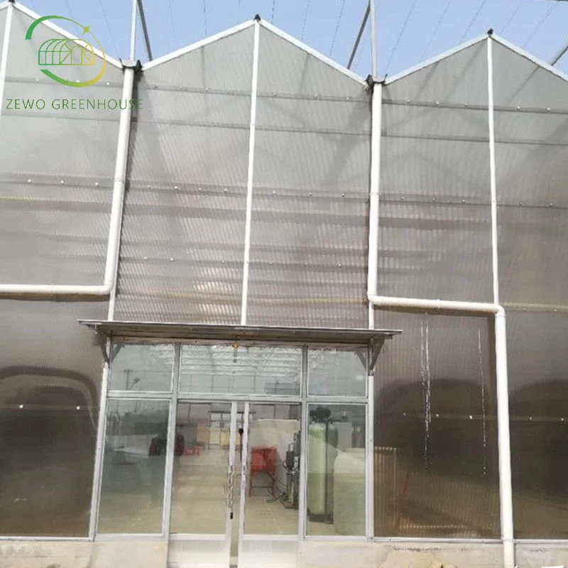 Casa Verde Agrícola Multi-Span invernadero de policarbonato con sistema de plantación hidropónico Para Tomato