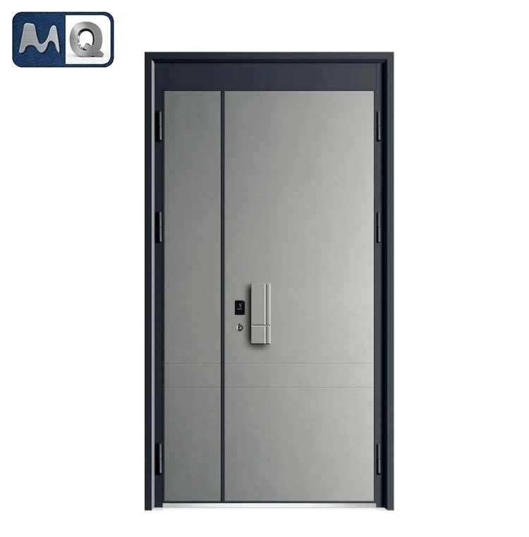 High quality/High cost performance  OEM Customized Entrance Security Door MQS-E03