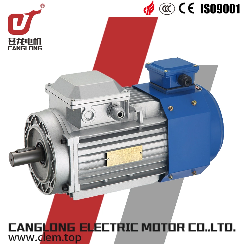 Yvf Yvp Series High Efficiency Industrial 380V Variable Frequency Adjustable Speed Three-Phase Asynchronous Motors