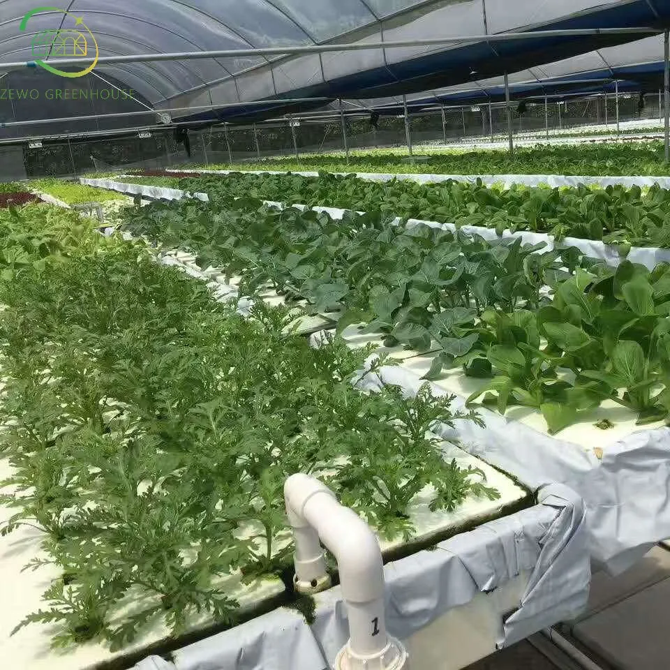 Farm Vegetable/Fruit Green House Use Soilless Cultivate Nft Hydroponics System