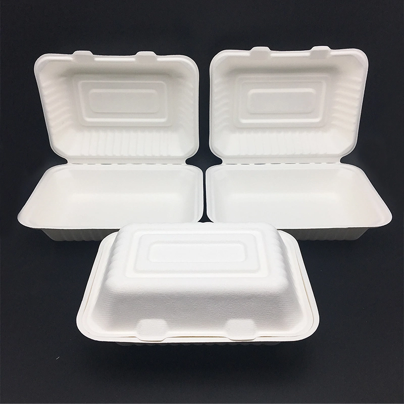 Free Samples Biodegradable Food Box Bagasse Material Take Away Food Container