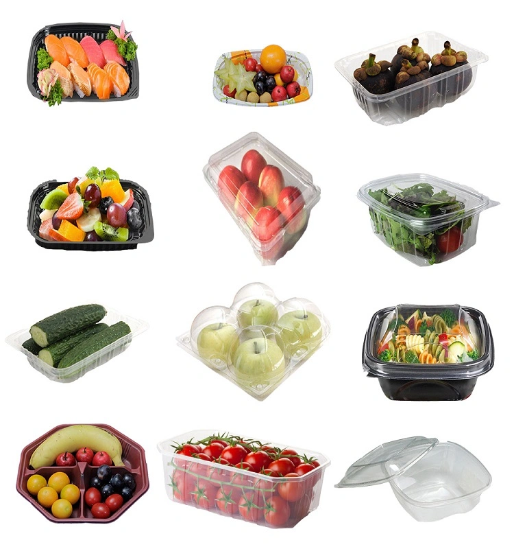 wholesale factory  PET Fruit and vegetable  punnets Food Container with EU regulation