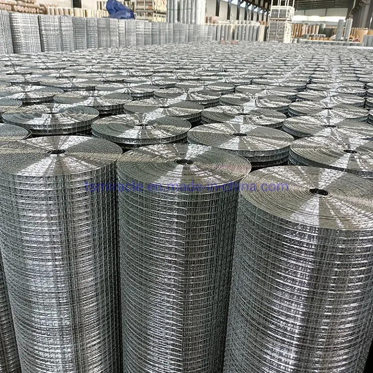 High quality/High cost performance Galvanized Welded Wire Mesh in Roll Used for Bird Cages/Garden Fence