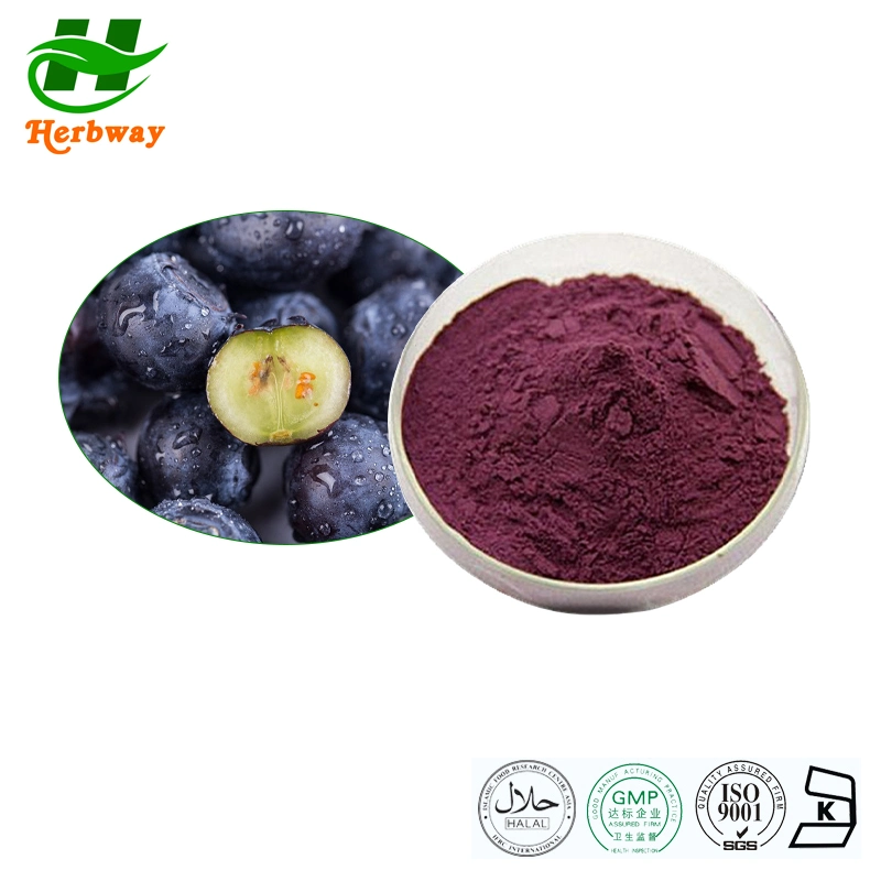 Herbway Hot Sales muestra gratuita 100% Blueberry Fruit Powder Frozen CAS 84082-34-8 Extracto de arándano