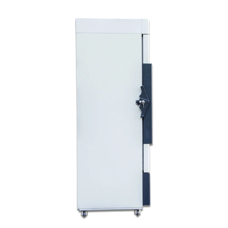 -45c 108 Liters Low Temperature Display Freezer for Seafood at Supermarkets