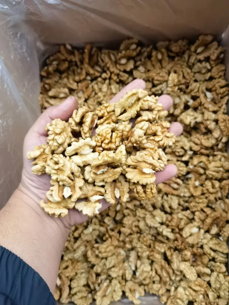 Walnut Kernels, Walnut Without Shell with High Protein18mm-24mm