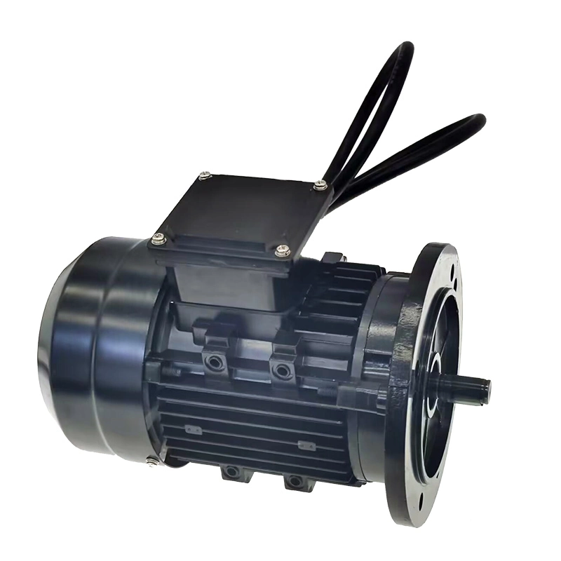 High Power Fan Heat Dissipation 60V 3000W 1500rbrushless DC Motor BLDC Motor Tricycle Battery Car Professional Motordc Motor Brushless DC Motor Brushless Motor