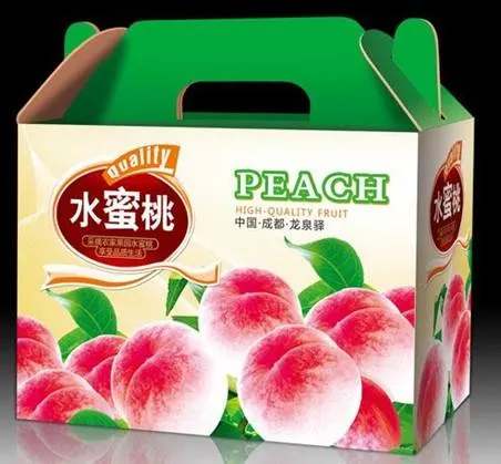 Printed Corrugated Paper Carton Box Fruit Vegetable Packing with Handle