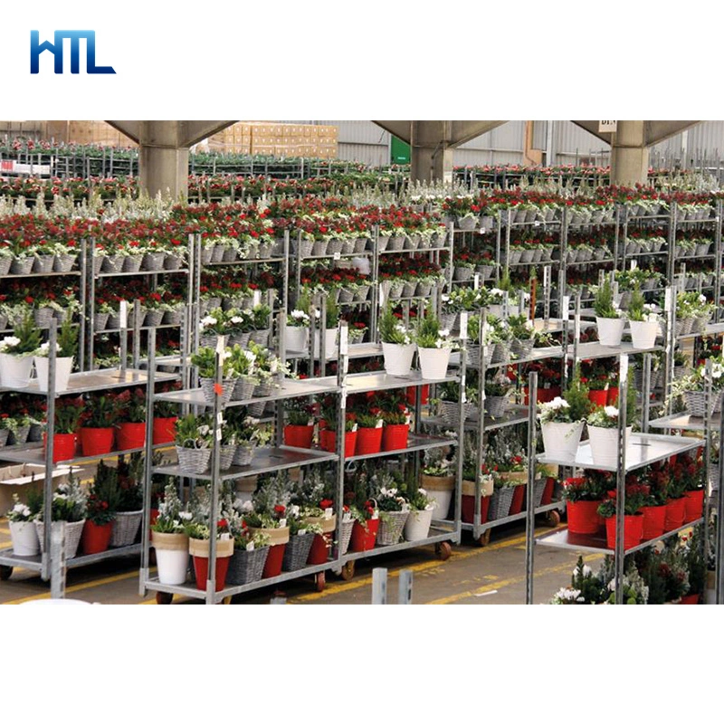 Customzied Farmers Market Garden Greenhouse Danish Plant Flower Cultivation Trolley