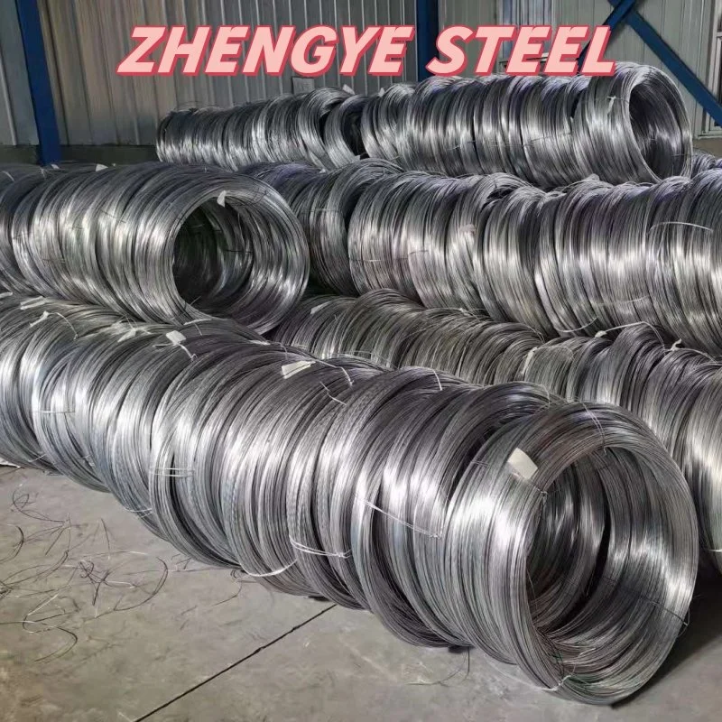 Hi-Q Hot Cold Rolled SAE 1008 1006 5.5mm 6.5mm Q195 Q235 Hot Dipped Galvanized Low Carbon Iron Steel Ms Wire Rod in Coil for Nail