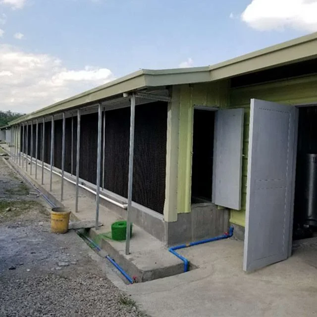 Original Factory Supply Modern Automatic Farm Chicken Farm for Sale Poultry House