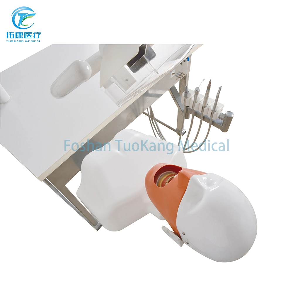 Medical Dental Simulation Unit Phantom Head Dental for Student Education Manual Phantom Head Simulator