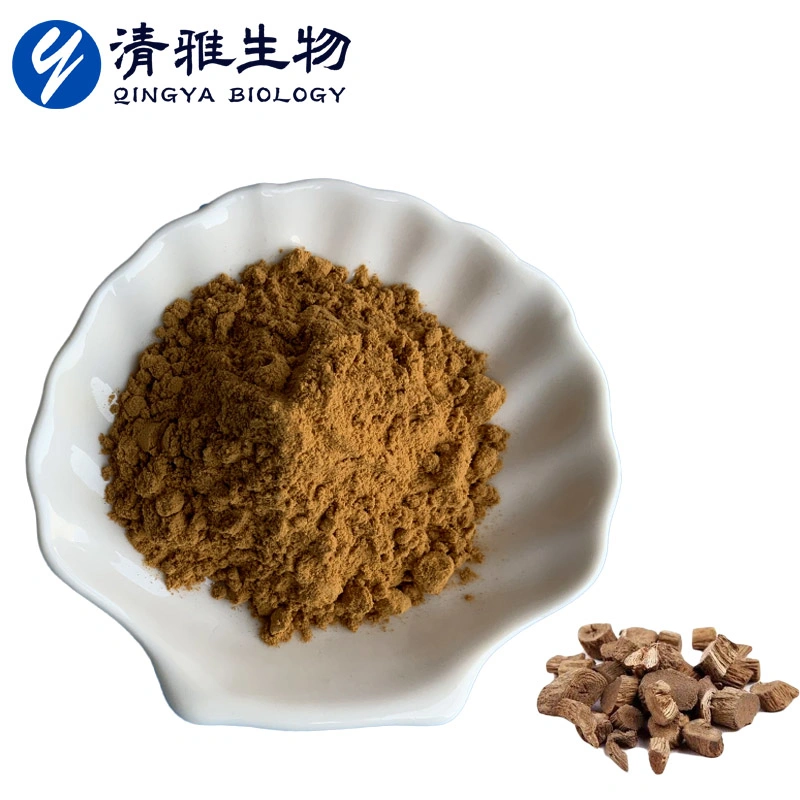 Fábrica fornecimento Sichuan Achyranthes Extract10:1 Natural Herbal Extract