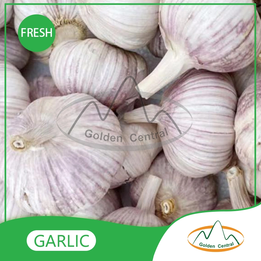 Fresh Garlic Price/ Bulk Garlic для продажи/ Чеснок