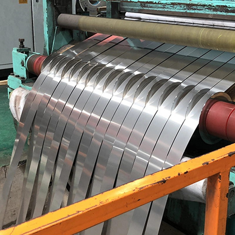 Carbon/Aluminium/Galvanized/Aluminum/Cold Rolled/Stainless/Zinc-Plated/Tape/Spring/Copper/Brass Stainless Steel Strip