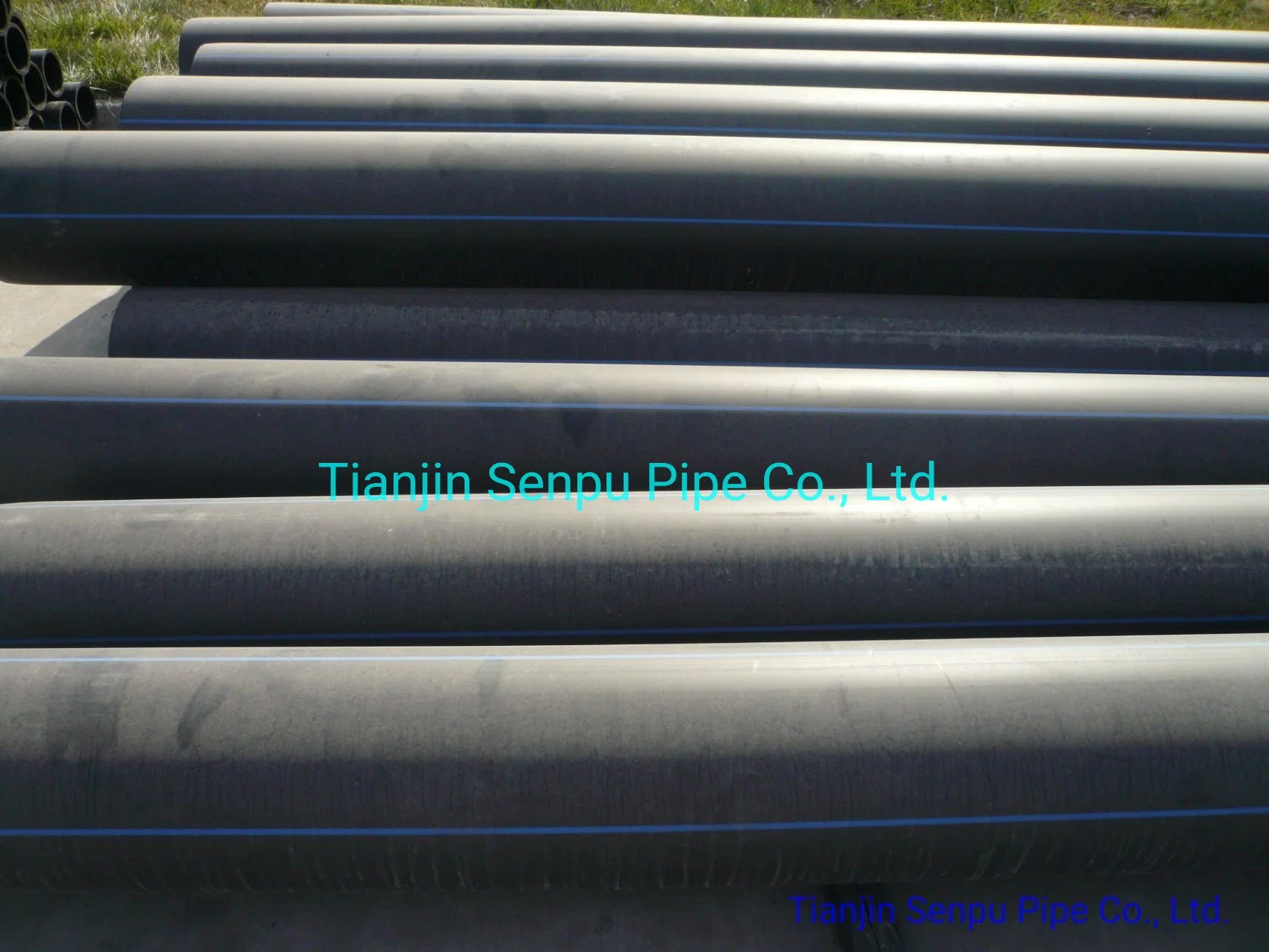 High quality/High cost performance  and Reasonable Price PE Pipe for Water Supply