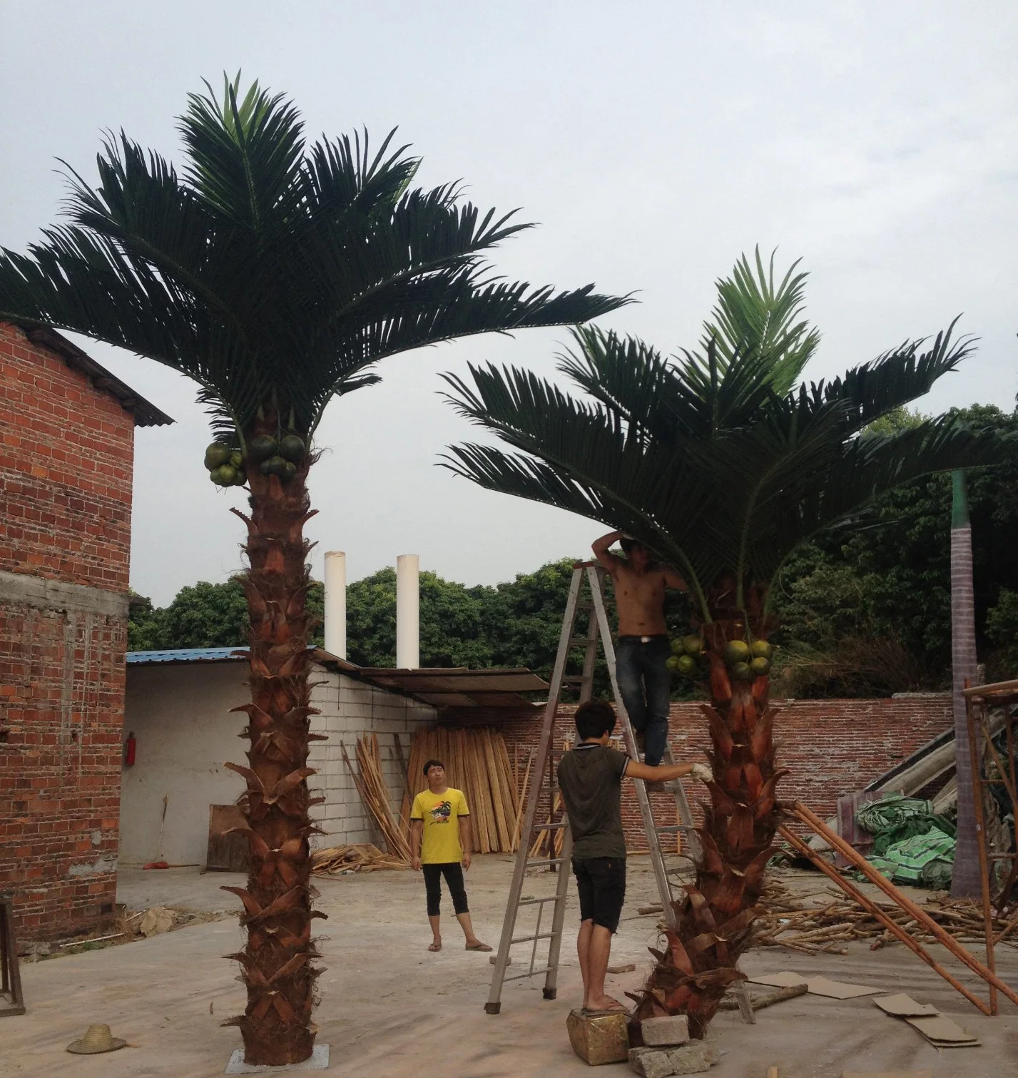 Factory Wholesale/Supplier Artificial Washington Palm Tree for Indoor Outdoor Decoration