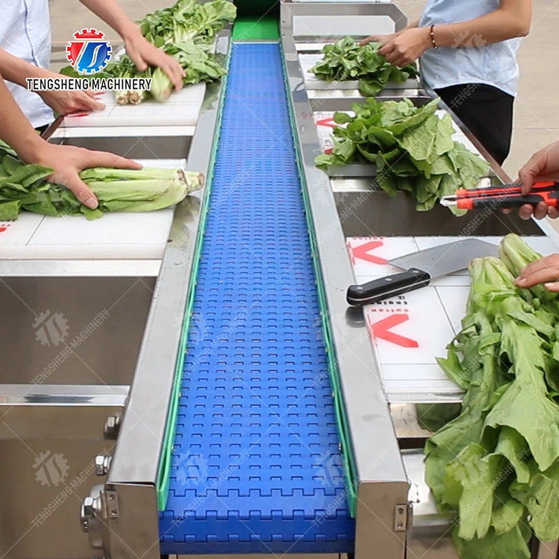 Automatic Stainless Steel Vegetable and Fruit Sorting Machine Selection Table