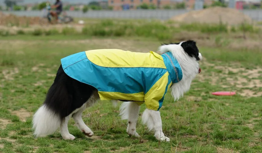 Wholesale/Supplier Superior Quality Pet Products Outdoor Dog Clothing Dog Raincoat