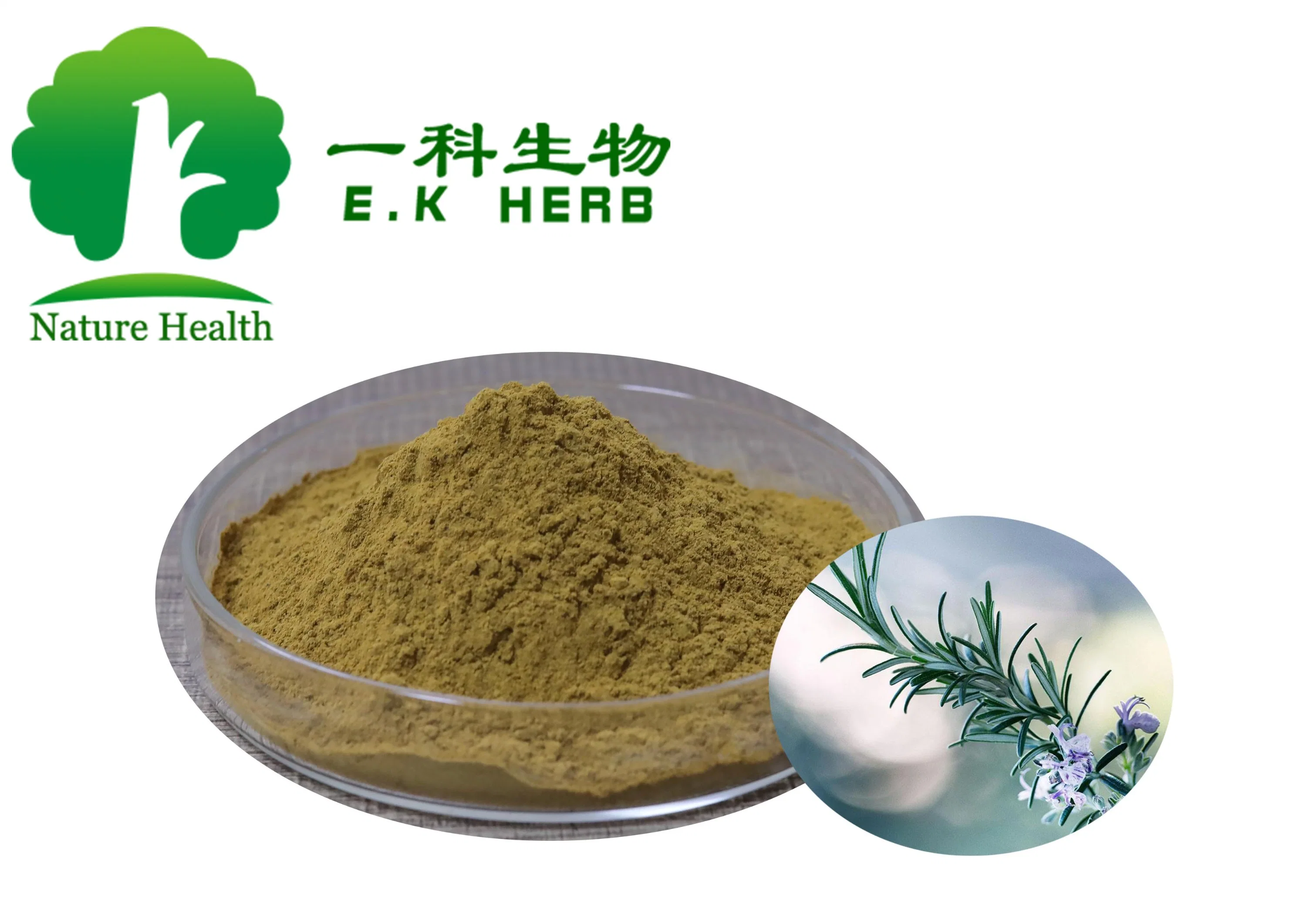 E. K Herb Feed Grade for Animals Rosemary Extract Botanical Antioxidant Carnosic Acid/Rosmarinic Acid/Ursolic Acid Rosemary Extract