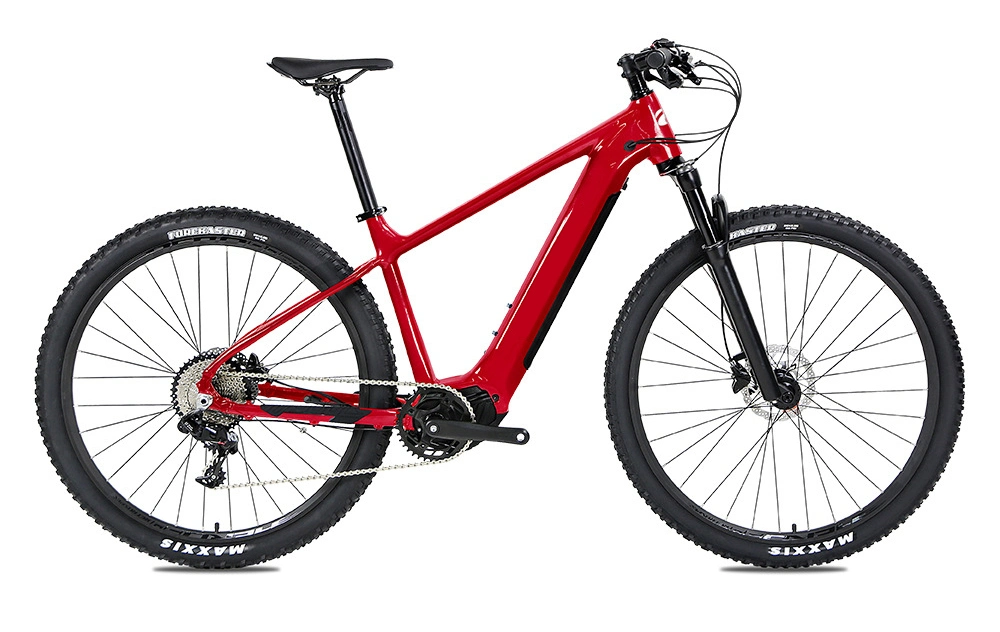 MID Drive Ebike 500W Full Suspension Electric Mountain Bike with CE