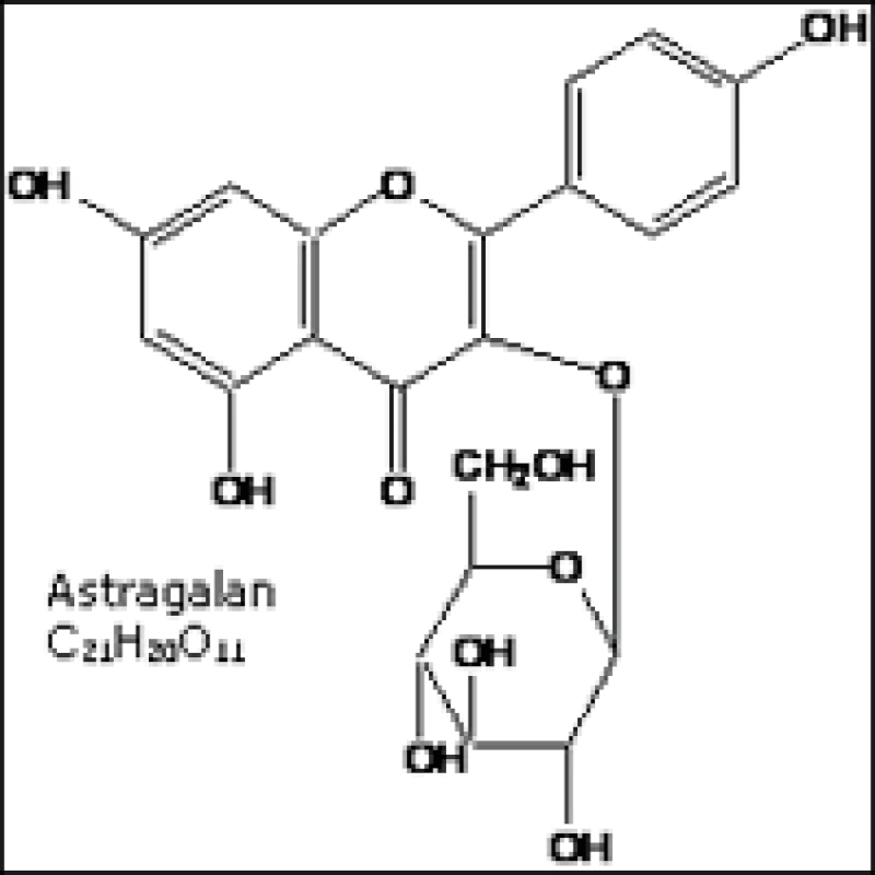 Nutural Plant Extract Astragalus Root Extract Baicalin Improves The Immune System