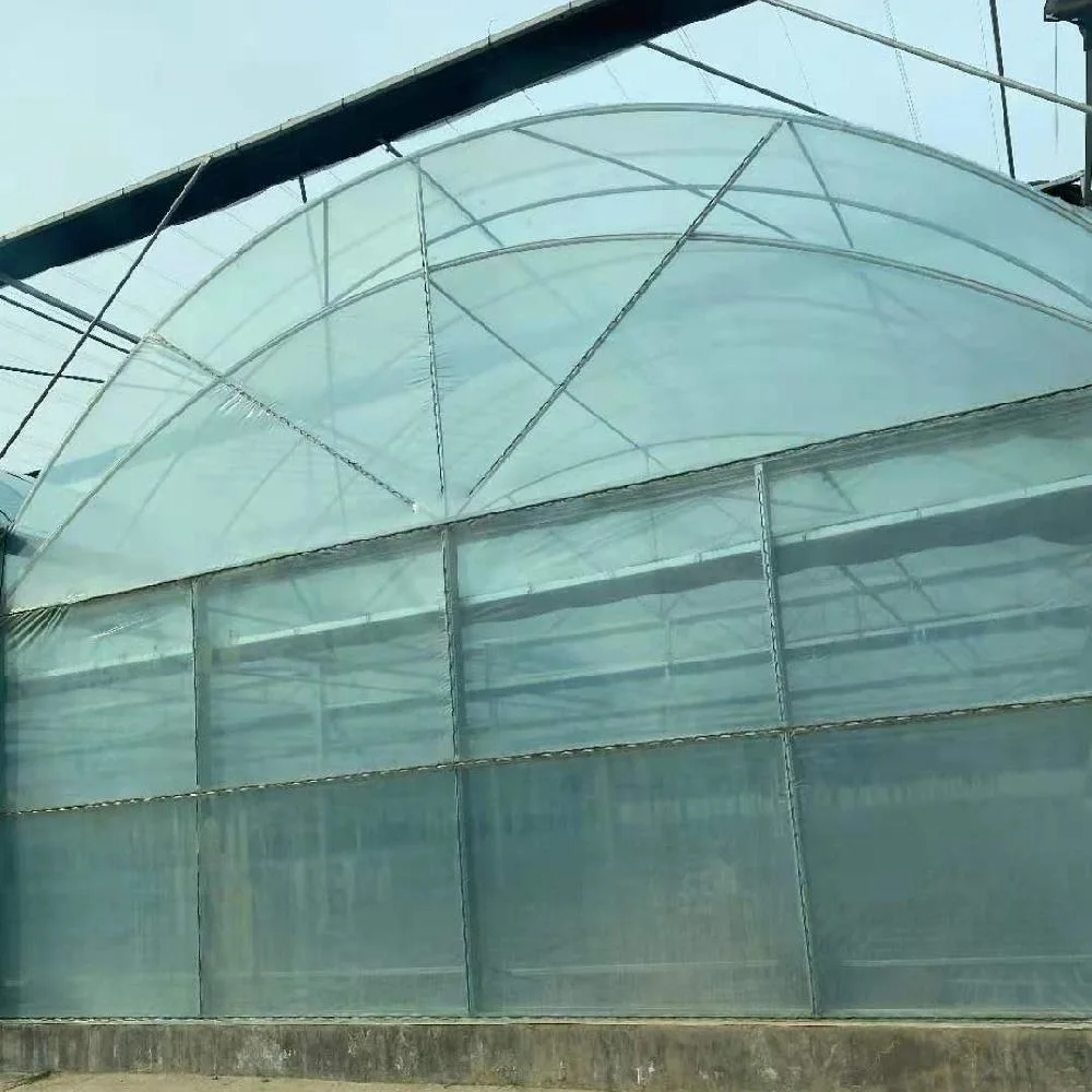 Span Plastic Film Greenhouse with Hydroponics System for Cucumber/Commercial Use