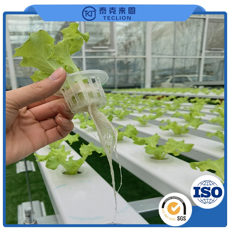 Soilless multi-capa para el sistema de cultivo hidropónico de siembra de tomate de invernadero inteligente de la granja de contenedor para la siembra de hortalizas