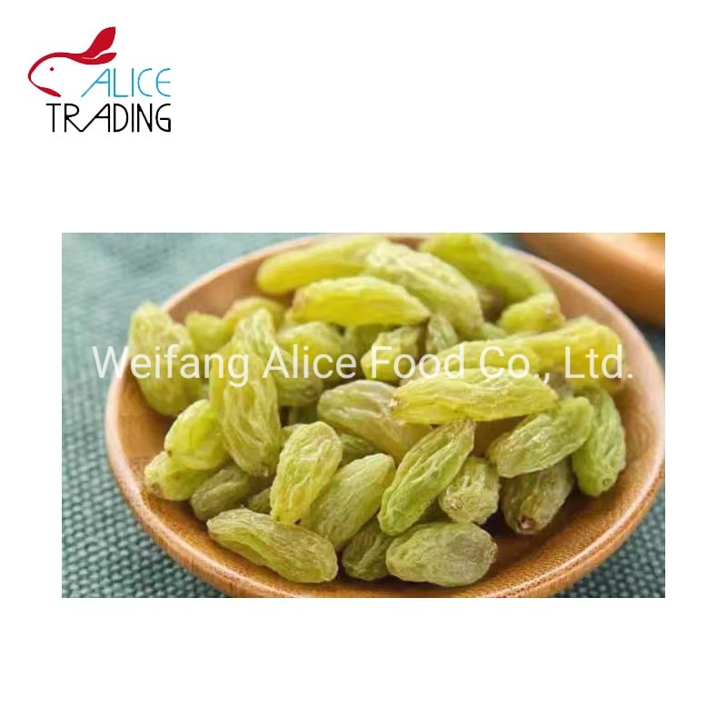 Good Tasting China Origin Dried Green Raisin Long Shape