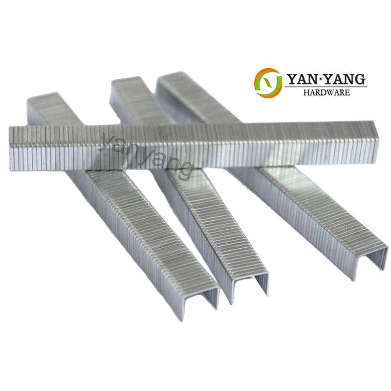 Yanyang Customized 8010 Galvanized Sofa Nails 8012 Upholstery Sofa Furniture Staples