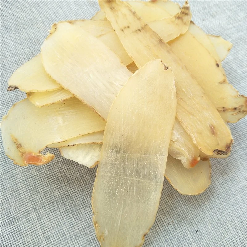 Tian Ma por grosso China Gastrodia Rhizoma Gastrodiae secas derivadas de raiz para o reumatismo