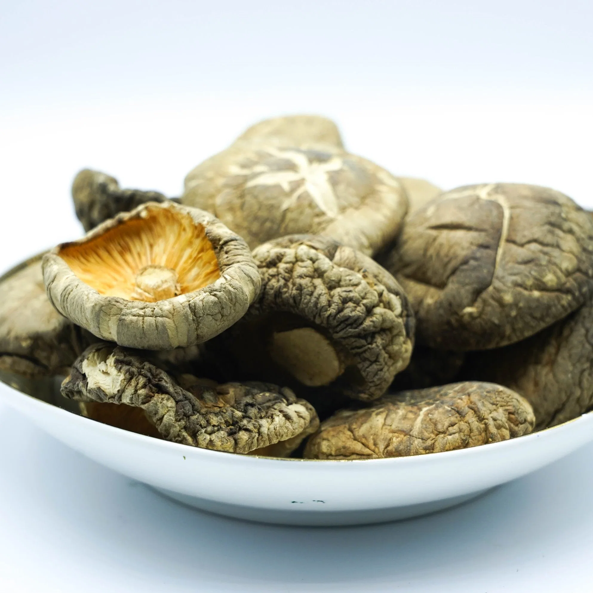 New Crop Dried Shiitake Mushroom