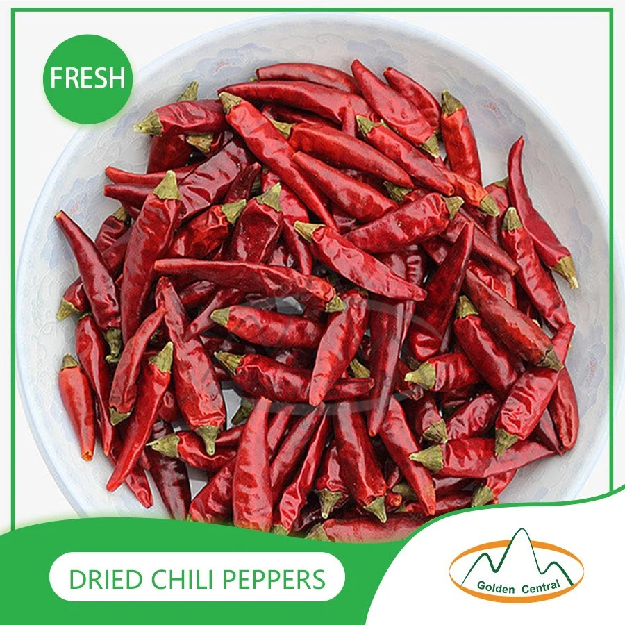 Top Produkt 100% Reine Getrocknete Chili Best Natural Hot Dry Red Chili Top Qualität Getrocknete Red Chili