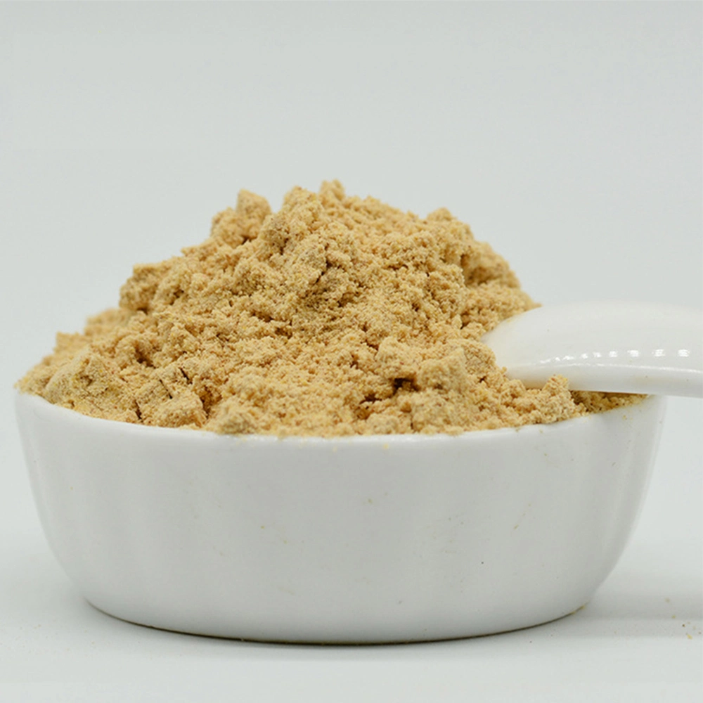 Factory Direct Supply Freeze Dried Ginger Powder Fresh Ginger Juice Powder