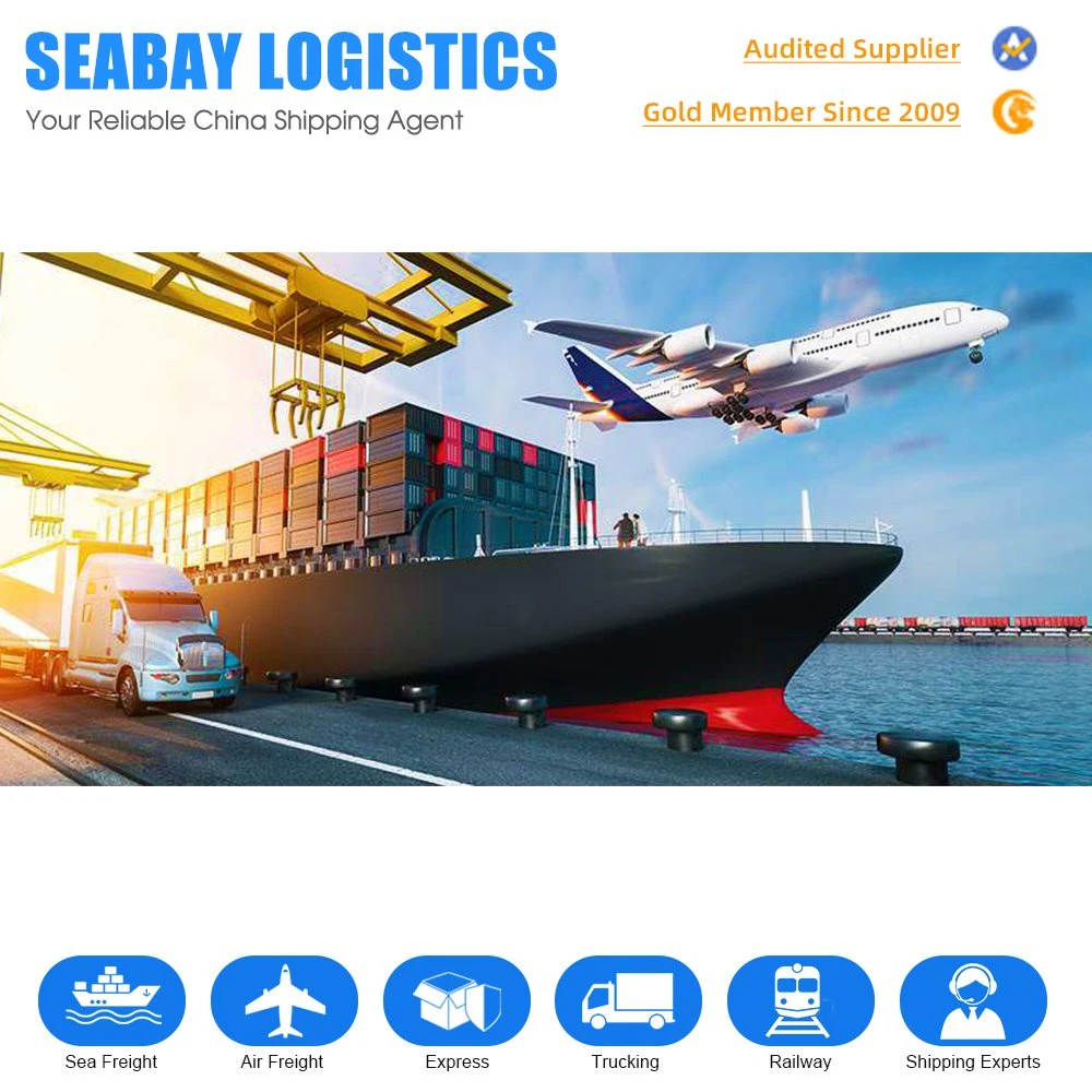 Cheap FCL LCL Shipping Rates to Seattle From Qingdao Shanghai Ningbo China