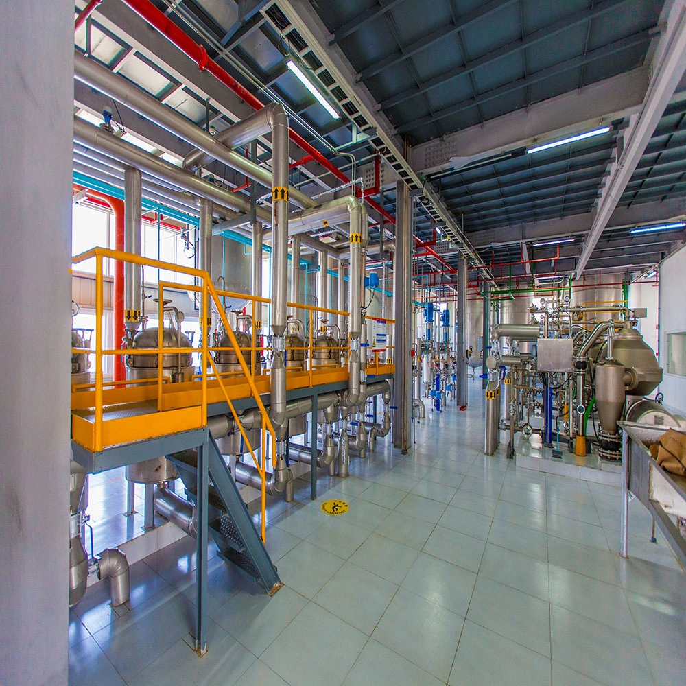 Sunflower Seed Oil Processing Plant